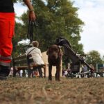 Barnim: Sommerfest der Freiwilligen Feuerwehr Klosterfelde 15 Barnim: Spätsommerfest der Freiwilligen Feuerwehr Klosterfelde