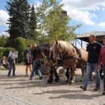 90 Jahre Freiwillige Feuerwehr Danewitz mit großem Fest gefeiert 77 Bernau LIVE
