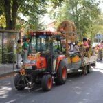 Bunt geschmückte Wagen beim Erntefest in Grüntal / Sydower Fließ 37 Bernau LIVE