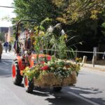 Bunt geschmückte Wagen beim Erntefest in Grüntal / Sydower Fließ 50 Bernau LIVE