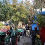 Bunt geschmückte Wagen beim Erntefest in Grüntal / Sydower Fließ 55 Bernau LIVE