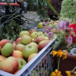 Bunt geschmückte Wagen beim Erntefest in Grüntal / Sydower Fließ 56 Bernau LIVE