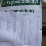 Ahrensfelde in Bewegung - Sportfest und Regionalparklauf am Samstag 11 Bernau LIVE