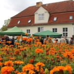Ernte- und Naturparkfest im Barnim Panorama Wandlitz 11 Bernau LIVE