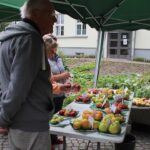 Ernte- und Naturparkfest im Barnim Panorama Wandlitz 10 Bernau LIVE