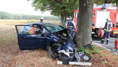 Barnim: Schwerer Verkehrsunfall zwischen Schönfeld und Willmersdorf