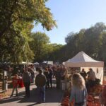 Bernau: Kunst- und Handwerkermarkt sorgte für eine volle Innenstadt 20 Bernau LIVE