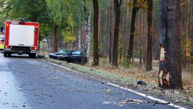 Schwerer Verkehrsunfall zwischen Lanke und Prenden