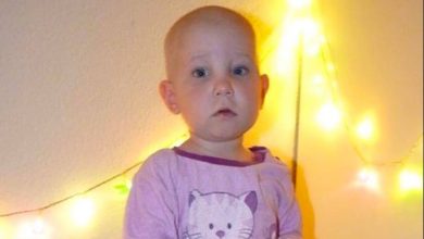 Stammzellspender für die 2-jährige Paula aus Wandlitz gesucht