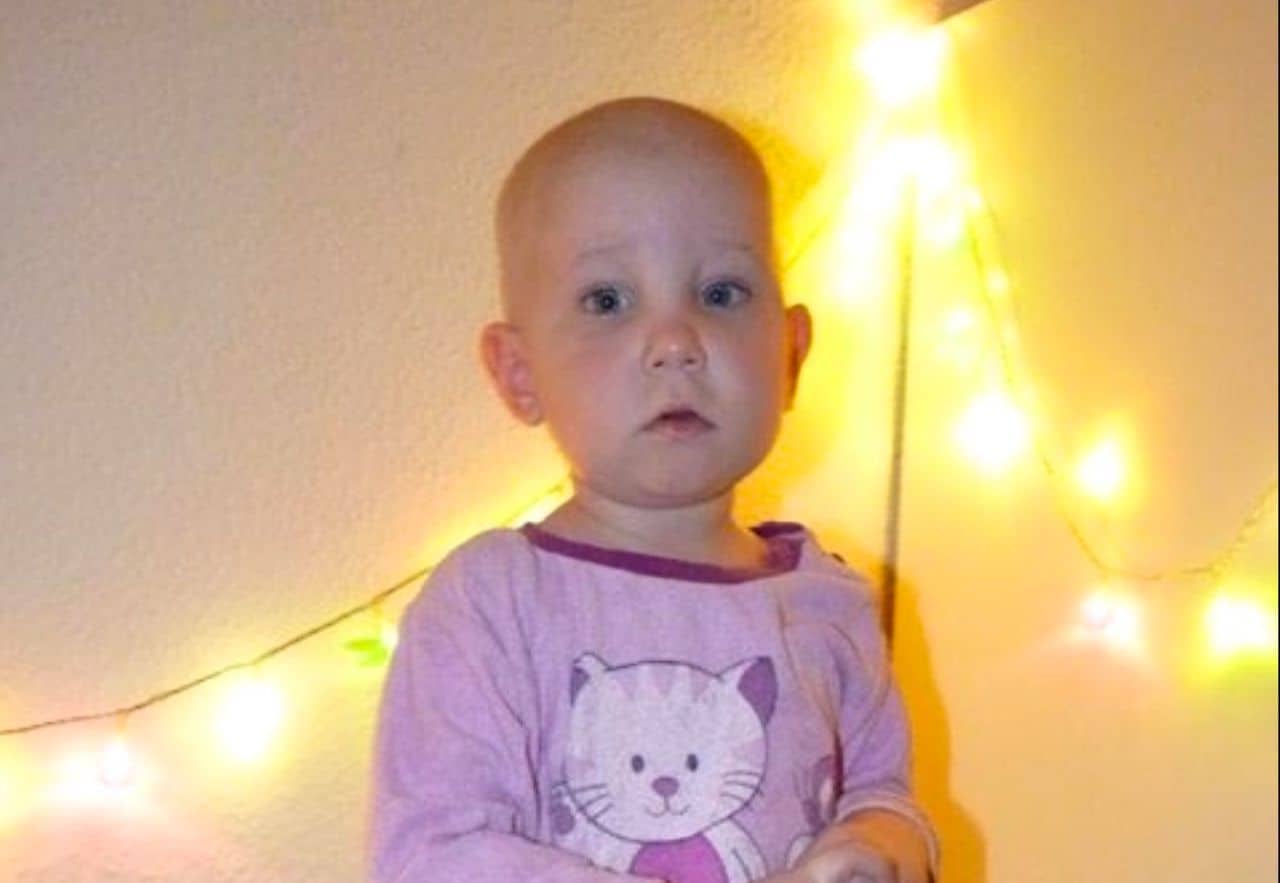 Stammzellspender für die 2-jährige Paula aus Wandlitz gesucht