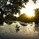 Inselleuchten - Festival Marienwerder - Ticketverkauf für 2019 gestartet 14 Bernau LIVE