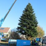 Millimeterarbeit für den Weihnachtsbaum der WOBAU in Bernau 10 Bernau LIVE