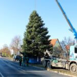 Millimeterarbeit für den Weihnachtsbaum der WOBAU in Bernau 8 Bernau LIVE