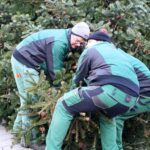 Millimeterarbeit für den Weihnachtsbaum der WOBAU in Bernau 13 Bernau LIVE