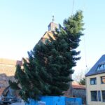 Millimeterarbeit für den Weihnachtsbaum der WOBAU in Bernau 11 Bernau LIVE