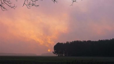 Euch einen stressfreien Donnerstag in Bernau und Drumherum