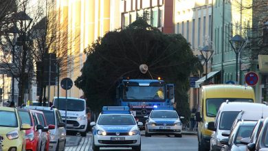 Millimeterarbeit für den Weihnachtsbaum der WOBAU in Bernau