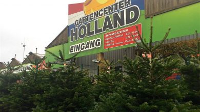 Mit dem Gartencenter Holland verschenken wir tolle Weihnachtsbäume