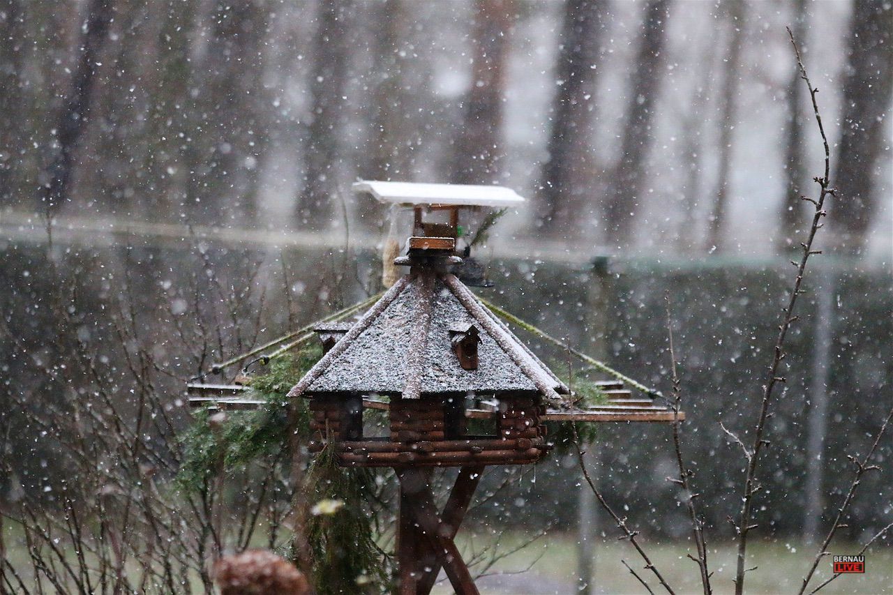 Wenn es doch nur etwas kälter wäre - ho, ho, ho - es schneit in Bernau
