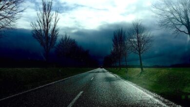 Draußen wird es ungemütlich - Amtliche Wetterwarnung für den Barnim