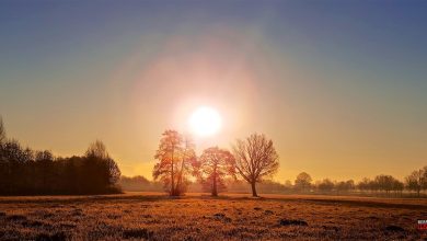 Guten Morgen aus Bernau und willkommen in der neuen Woche
