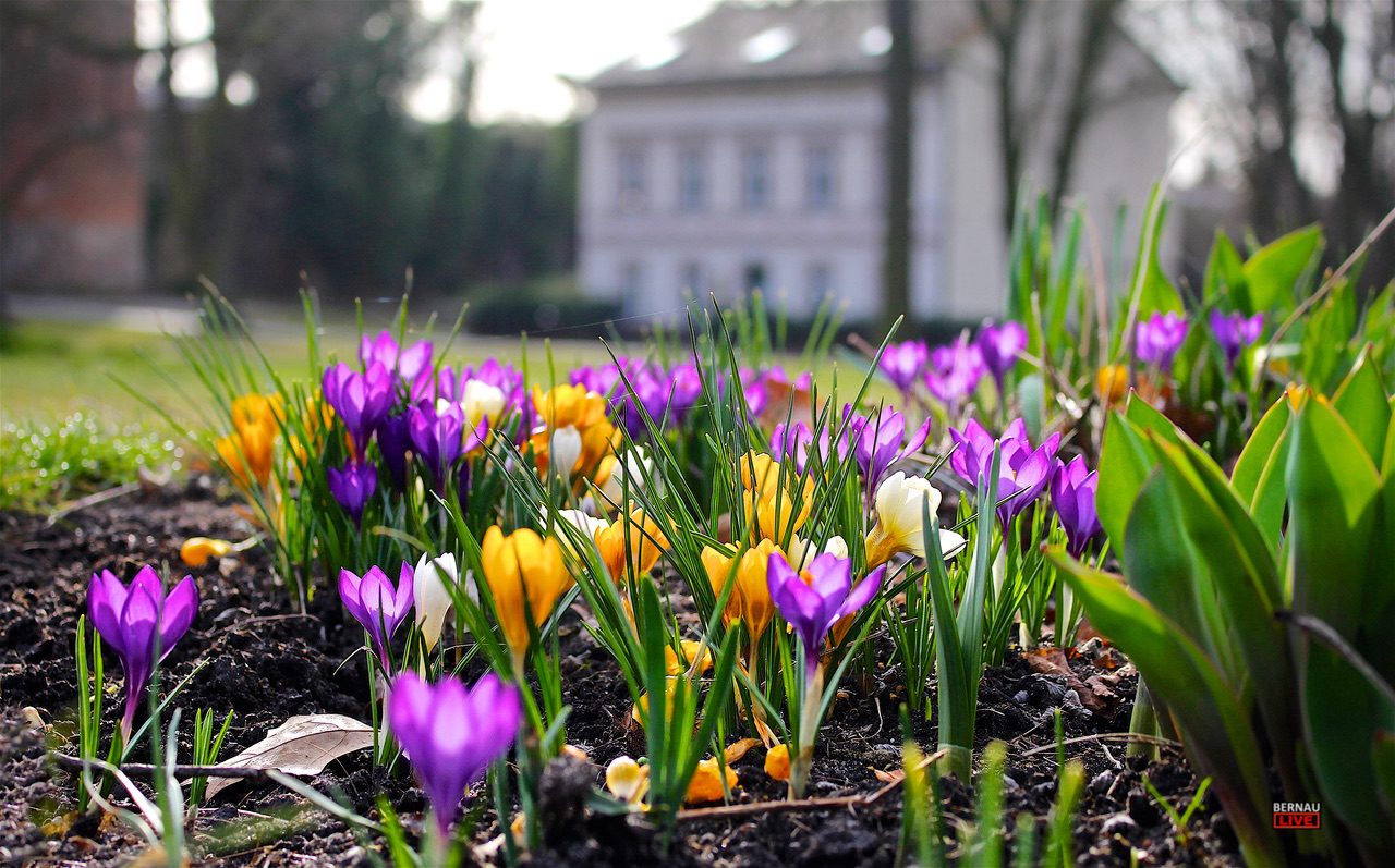 Bernau LIVE wünscht allen einen stressfreien Donnerstag 7 Bernau LIVE wünscht allen einen stressfreien Donnerstag