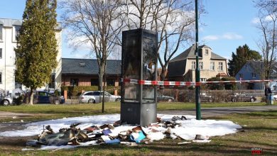 Bücherschrank an der Zepernicker Bahnhofsstraße ausgebrannt