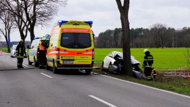 Schwerer Verkehrsunfall L30 zwischen Schönow und Schönwalde