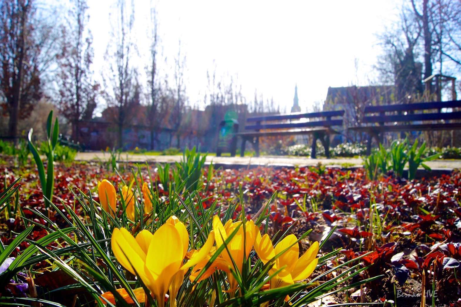 Bernau LIVE wünscht allen ein schönes Wochenende - Veranstaltungen 3 Bernau LIVE wünscht allen ein schönes Wochenende - Veranstaltungen