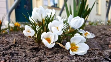 Ui, Facebook geht dann nach langem Ausfall wieder, moin aus Bernau