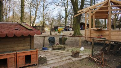 Bernau: Kinderbauernhof in Börnicke droht die Schliessung