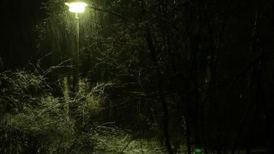 In Bernau schneit es gerade - morgen früh kann es glatt werden