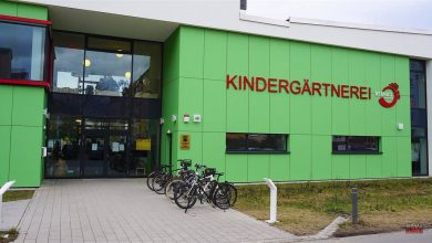 Die "Kindergärtnerei" in Bernau lädt heute Nachmittag zum Blütenfest