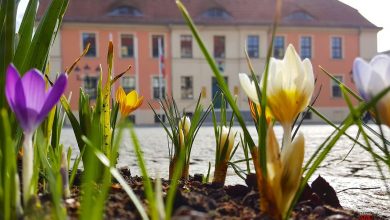 Ein schönes Wochenende in Bernau und Drumherum - Veranstaltungen 10 Ein schönes Wochenende in Bernau und Drumherum - Veranstaltungen