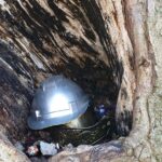 Müllhalde Bernauer Stadtpark: Feiern gerne, aber bitte nicht so! 6 Bernau LIVE