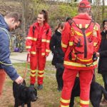 Die Gemeinde Panketal feierte ihr diesjähriges Rathausfest 11 Bernau LIVE