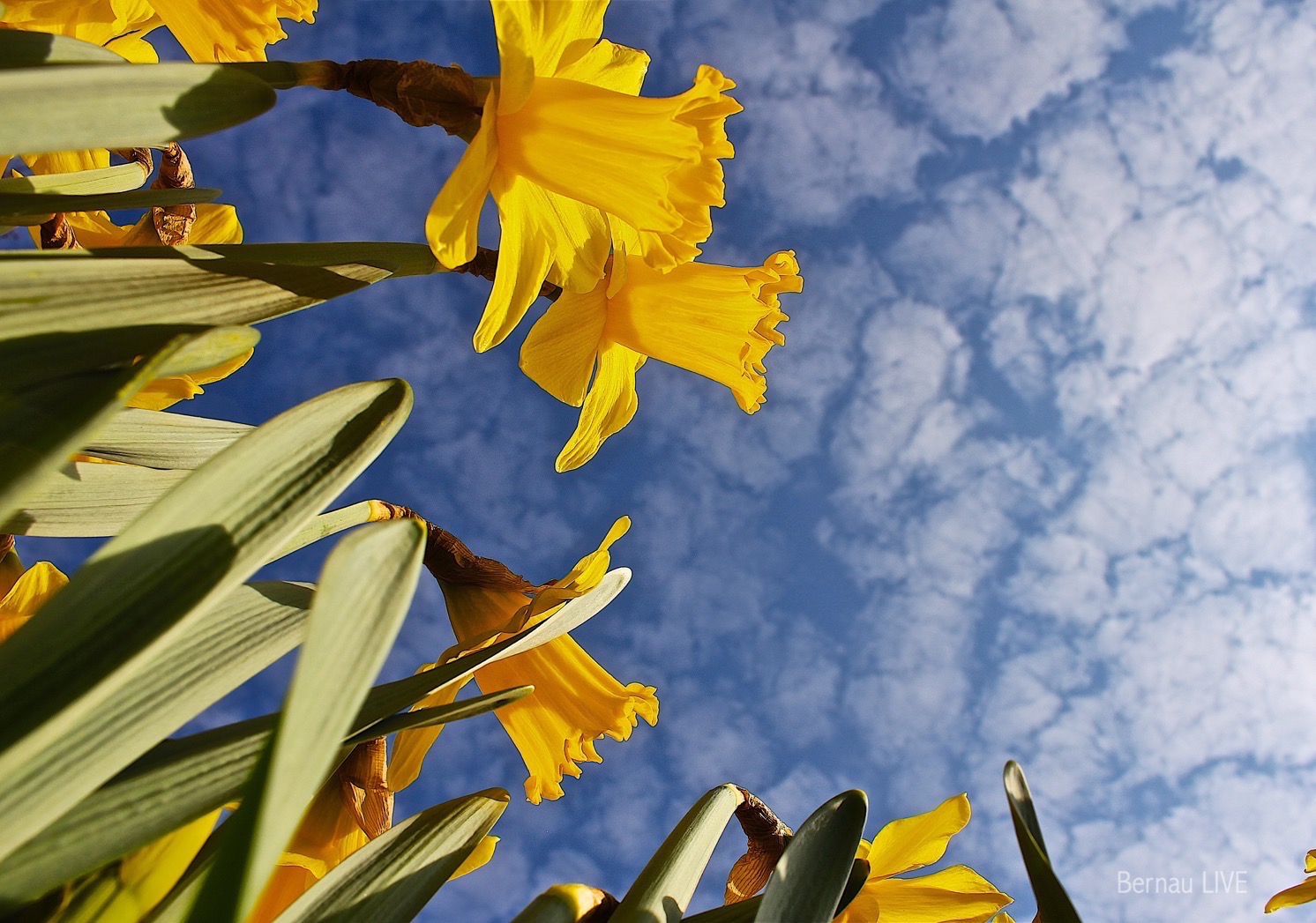So, die Hälfte der Woche dann mal fast rum, Moin aus Bernau 6 So, die Hälfte der Woche dann mal fast rum, Moin aus Bernau