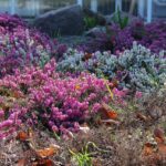 Hoffnungstaler Werkstätten luden am Wochenende zum Osterbasteln 7 Bernau LIVE
