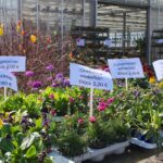 Hoffnungstaler Werkstätten luden am Wochenende zum Osterbasteln 3 Bernau LIVE