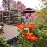 Tag der offenen Tür bei den Hoffnungstaler Werkstätten in Biesenthal 8 Bernau LIVE