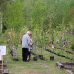 Tag der offenen Tür bei den Hoffnungstaler Werkstätten in Biesenthal 6 Bernau LIVE