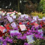 Tag der offenen Tür bei den Hoffnungstaler Werkstätten in Biesenthal 14 Bernau LIVE