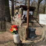 Der RBB Robur-Bus besuchte heute den Kinderbauernhof Börnicke 6 Bernau LIVE