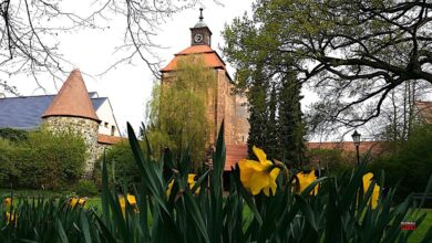 Euch einen sonnigen Dienstag in Bernau und Drumherum