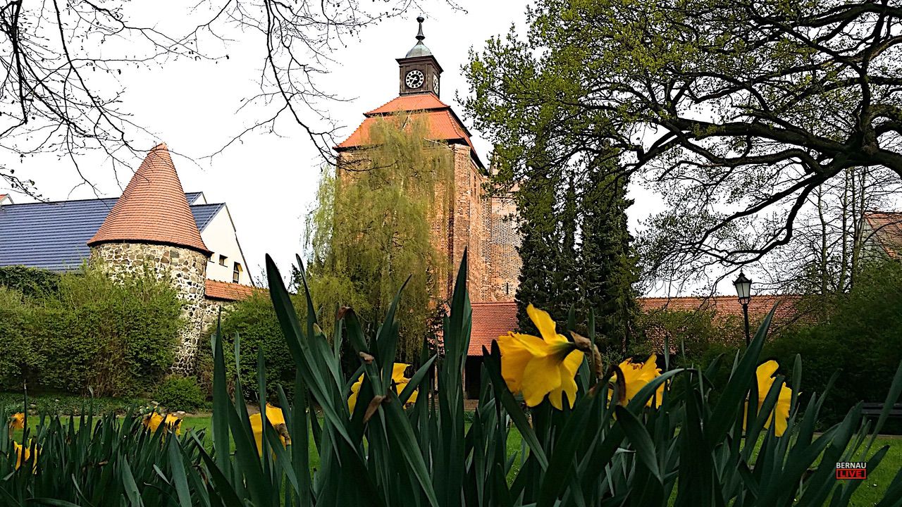 Euch einen sonnigen Dienstag in Bernau und Drumherum 3 Euch einen sonnigen Dienstag in Bernau und Drumherum