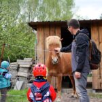 Tipp zum Nachmittag: Fest der Gartenvielfalt auf dem Hof Schafgarbe 11 Bernau LIVE - Dein Stadtmagazin