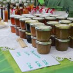 Tipp zum Nachmittag: Fest der Gartenvielfalt auf dem Hof Schafgarbe 13 Tipp zum Nachmittag: Fest der Gartenvielfalt auf dem Hof Schafgarbe