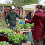Tipp zum Nachmittag: Fest der Gartenvielfalt auf dem Hof Schafgarbe 2 Bernau LIVE - Dein Stadtmagazin