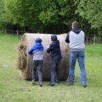 Tipp zum Nachmittag: Fest der Gartenvielfalt auf dem Hof Schafgarbe 12 Bernau LIVE - Dein Stadtmagazin