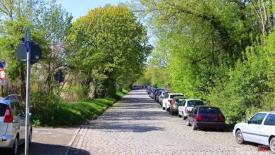 Bernau LIVE - Dein Stadtmagazin